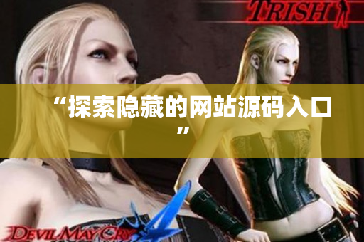 “探索隐藏的网站源码入口”