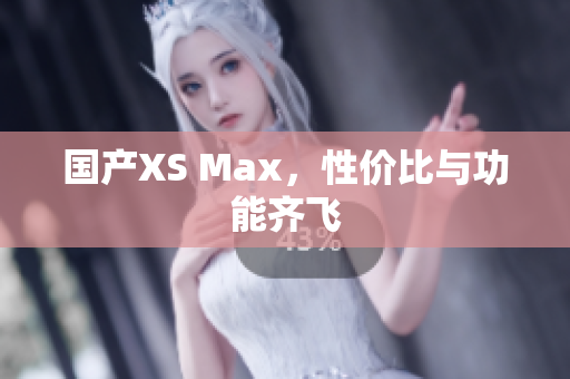 国产XS Max，性价比与功能齐飞