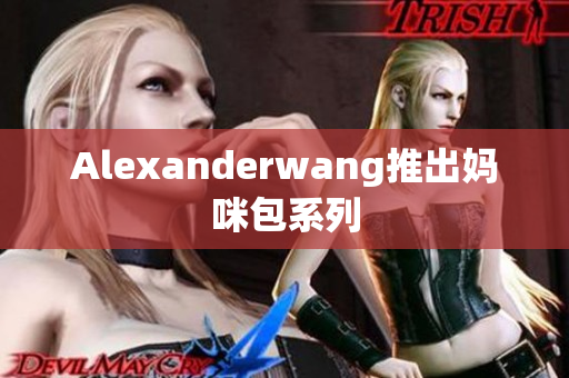 Alexanderwang推出妈咪包系列