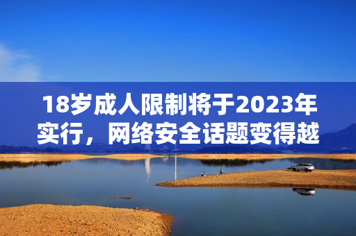 18岁成人限制将于2023年实行，网络安全话题变得越来越重要