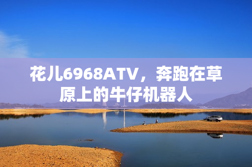 花儿6968ATV，奔跑在草原上的牛仔机器人