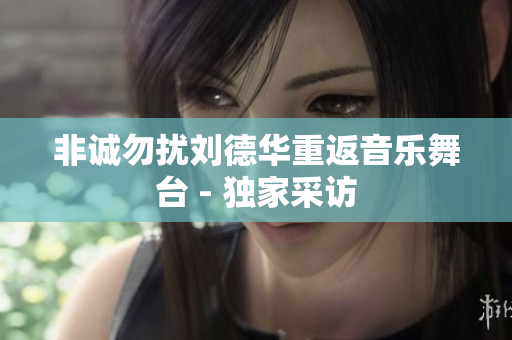 非诚勿扰刘德华重返音乐舞台 - 独家采访