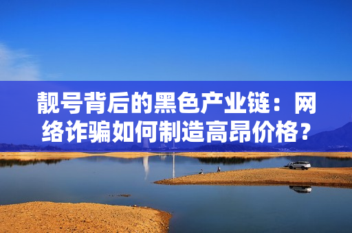 靓号背后的黑色产业链：网络诈骗如何制造高昂价格？