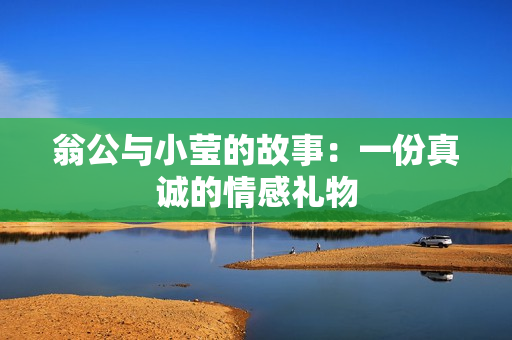 翁公与小莹的故事：一份真诚的情感礼物