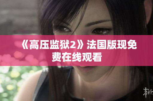 《高压监狱2》法国版现免费在线观看