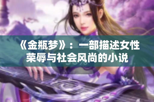 《金瓶梦》：一部描述女性荣辱与社会风尚的小说