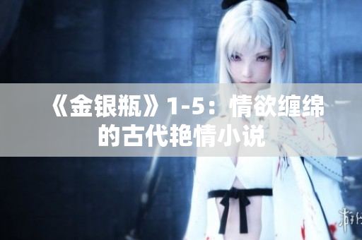 《金银瓶》1-5：情欲缠绵的古代艳情小说