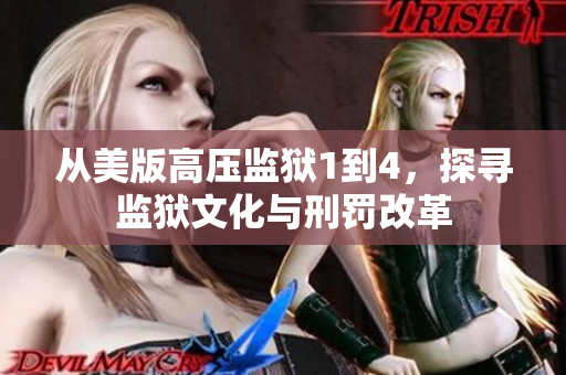 从美版高压监狱1到4，探寻监狱文化与刑罚改革