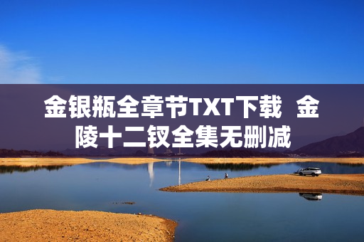 金银瓶全章节TXT下载  金陵十二钗全集无删减