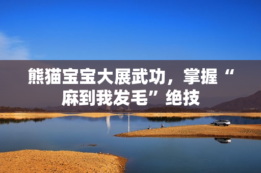 熊猫宝宝大展武功，掌握“麻到我发毛”绝技