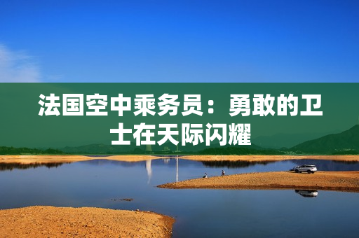 法国空中乘务员：勇敢的卫士在天际闪耀