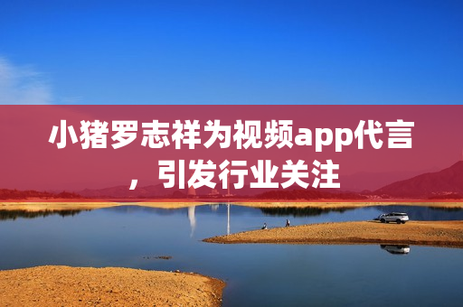 小猪罗志祥为视频app代言，引发行业关注