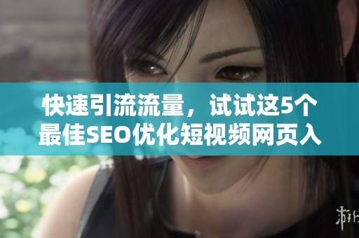 快速引流流量，试试这5个最佳SEO优化短视频网页入口