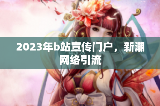 2023年b站宣传门户，新潮网络引流