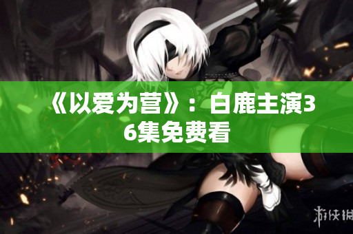 《以爱为营》：白鹿主演36集免费看