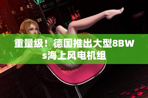 重量级！德国推出大型8BWs海上风电机组