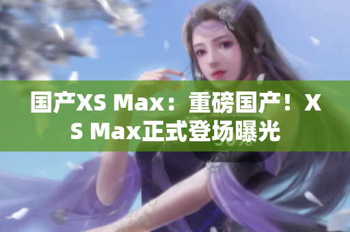 国产XS Max：重磅国产！XS Max正式登场曝光