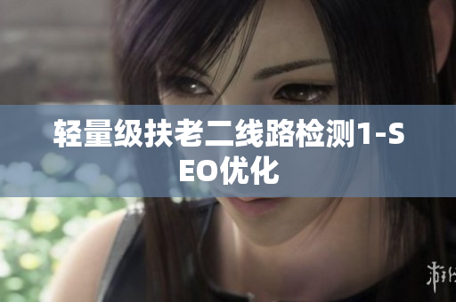 轻量级扶老二线路检测1-SEO优化