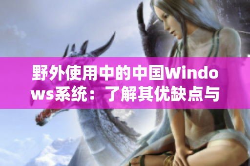 野外使用中的中国Windows系统：了解其优缺点与适用场景