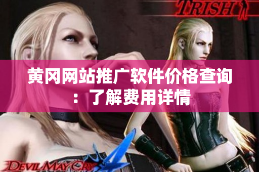 黄冈网站推广软件价格查询：了解费用详情