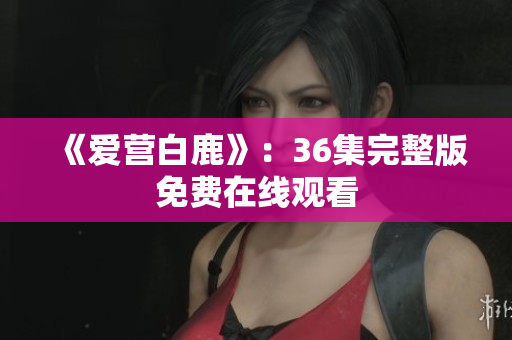 《爱营白鹿》：36集完整版免费在线观看