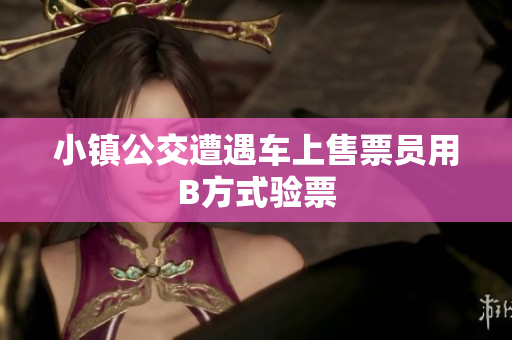 小镇公交遭遇车上售票员用B方式验票