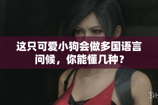 这只可爱小狗会做多国语言问候，你能懂几种？