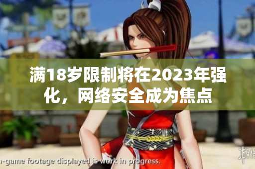 满18岁限制将在2023年强化，网络安全成为焦点