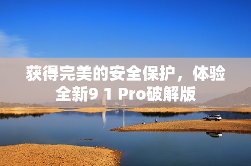 获得完美的安全保护，体验全新9 1 Pro破解版