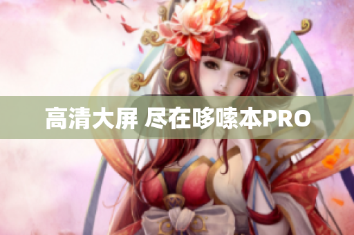 高清大屏 尽在哆嗦本PRO