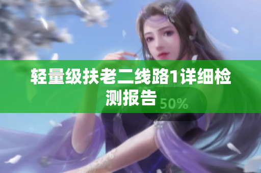 轻量级扶老二线路1详细检测报告