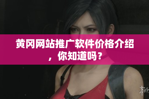 黄冈网站推广软件价格介绍，你知道吗？