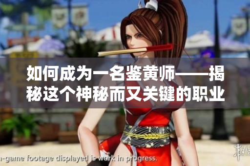 如何成为一名鉴黄师——揭秘这个神秘而又关键的职业