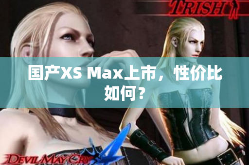 国产XS Max上市，性价比如何？