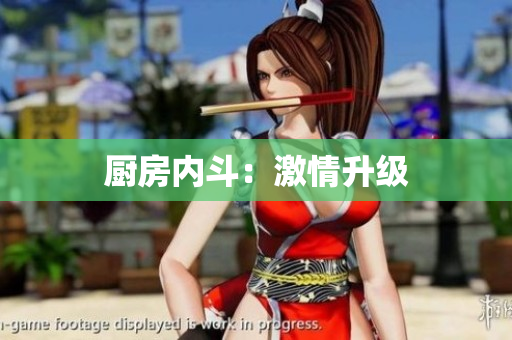 厨房内斗：激情升级