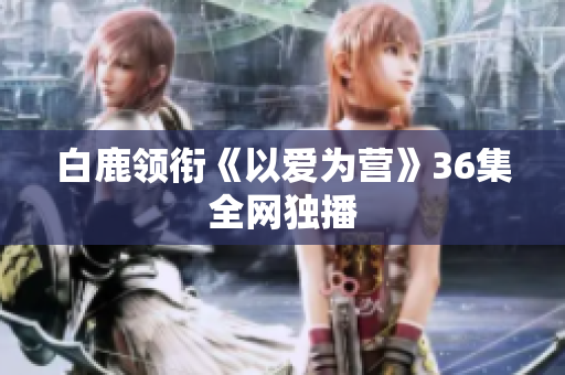 白鹿领衔《以爱为营》36集全网独播