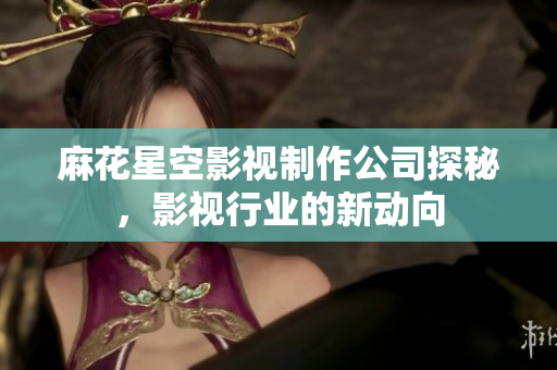 麻花星空影视制作公司探秘，影视行业的新动向