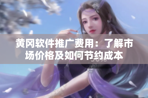 黄冈软件推广费用：了解市场价格及如何节约成本
