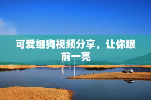 可爱细狗视频分享，让你眼前一亮