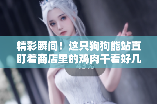 精彩瞬间！这只狗狗能站直盯着商店里的鸡肉干看好几分钟！
