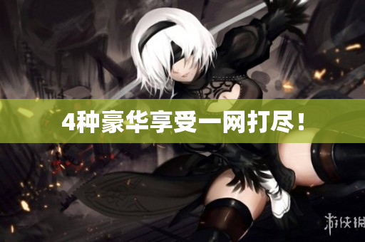 4种豪华享受一网打尽！