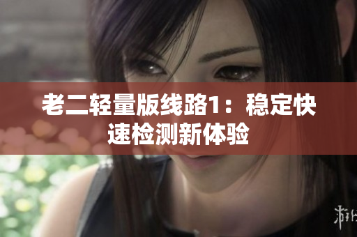 老二轻量版线路1：稳定快速检测新体验