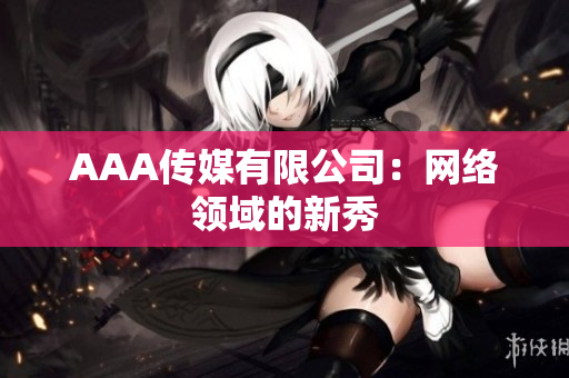 AAA传媒有限公司：网络领域的新秀