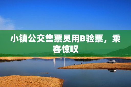 小镇公交售票员用B验票，乘客惊叹