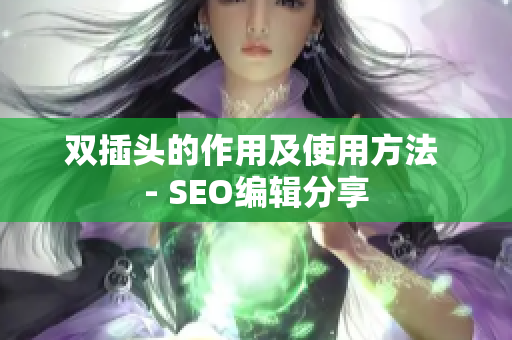 双插头的作用及使用方法 - SEO编辑分享