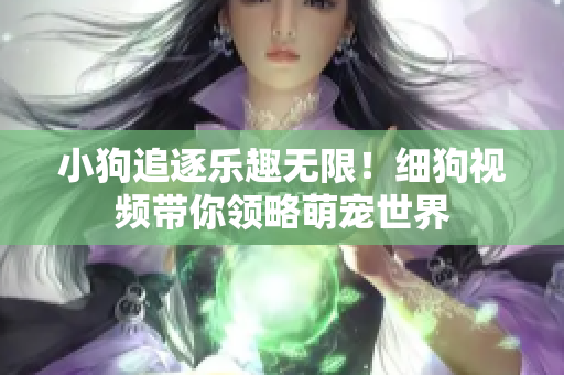 小狗追逐乐趣无限！细狗视频带你领略萌宠世界