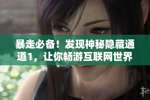 暴走必备！发现神秘隐藏通道1，让你畅游互联网世界