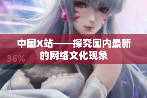 中国X站——探究国内最新的网络文化现象