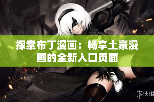 探索布丁漫画：畅享土豪漫画的全新入口页面