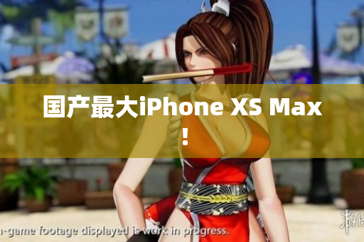 国产最大iPhone XS Max！